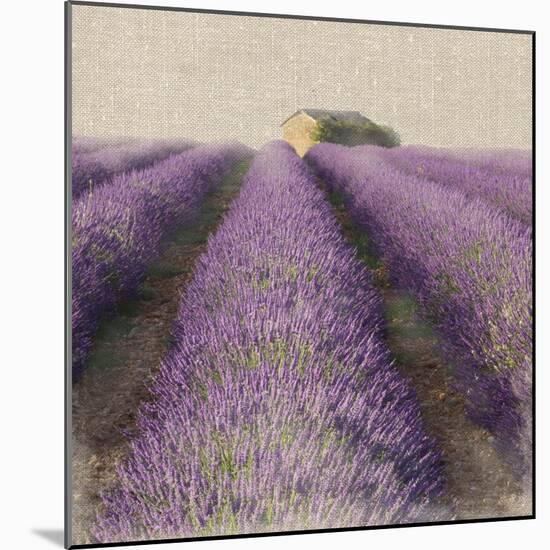 Lavender Field-Bret Staehling-Mounted Art Print