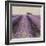 Lavender Field-Bret Staehling-Framed Art Print