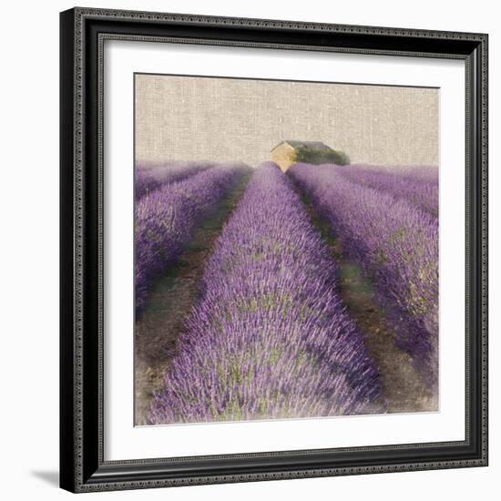 Lavender Field-Bret Staehling-Framed Art Print