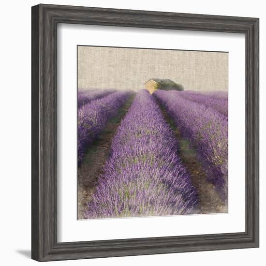 Lavender Field-Bret Staehling-Framed Art Print