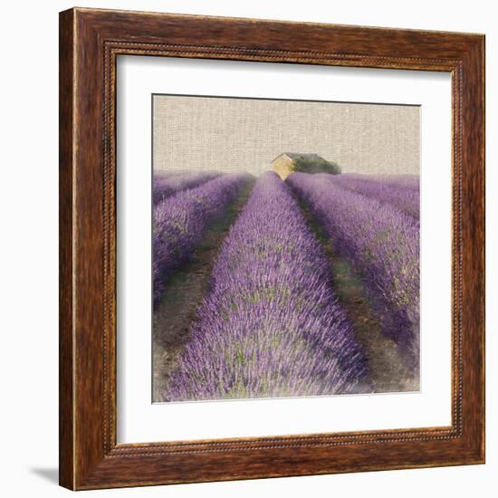 Lavender Field-Bret Staehling-Framed Art Print