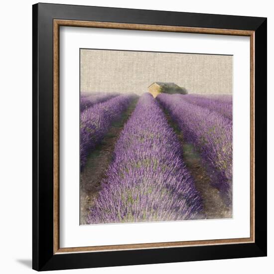 Lavender Field-Bret Staehling-Framed Art Print