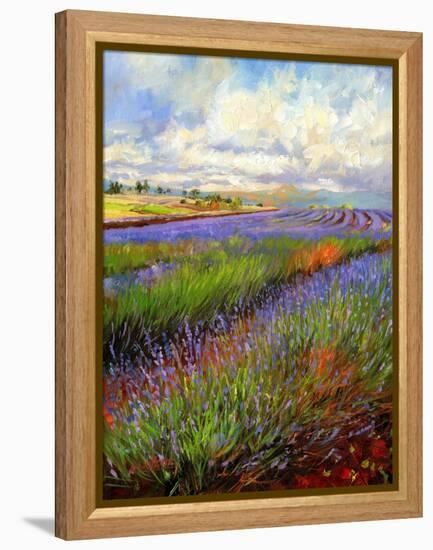 Lavender Field-David Stribbling-Framed Stretched Canvas