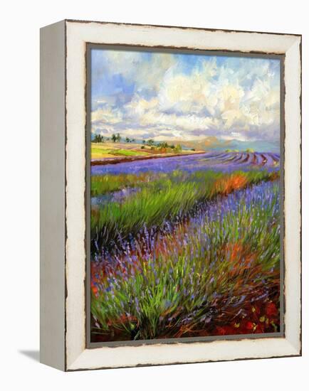Lavender Field-David Stribbling-Framed Stretched Canvas