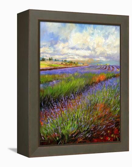 Lavender Field-David Stribbling-Framed Stretched Canvas