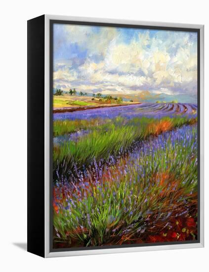 Lavender Field-David Stribbling-Framed Stretched Canvas