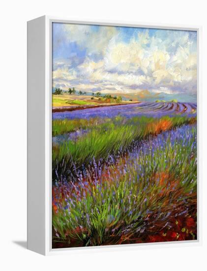 Lavender Field-David Stribbling-Framed Stretched Canvas