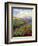 Lavender Field-David Stribbling-Framed Art Print