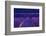 Lavender fields, Alpes Haute Provence, France-Juan Carlos Munoz-Framed Photographic Print