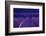 Lavender fields, Alpes Haute Provence, France-Juan Carlos Munoz-Framed Photographic Print