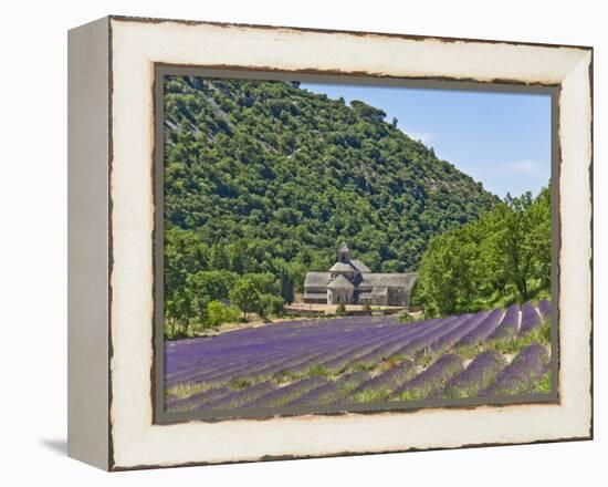 Lavender Fields and Senanque Monastery-David Sailors-Framed Premier Image Canvas