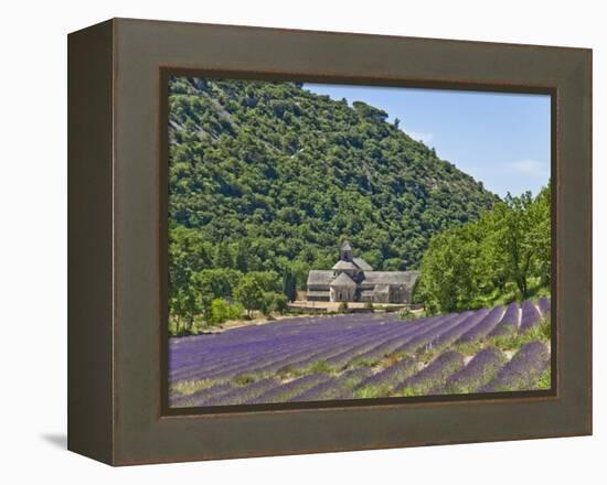 Lavender Fields and Senanque Monastery-David Sailors-Framed Premier Image Canvas