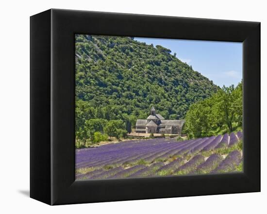 Lavender Fields and Senanque Monastery-David Sailors-Framed Premier Image Canvas