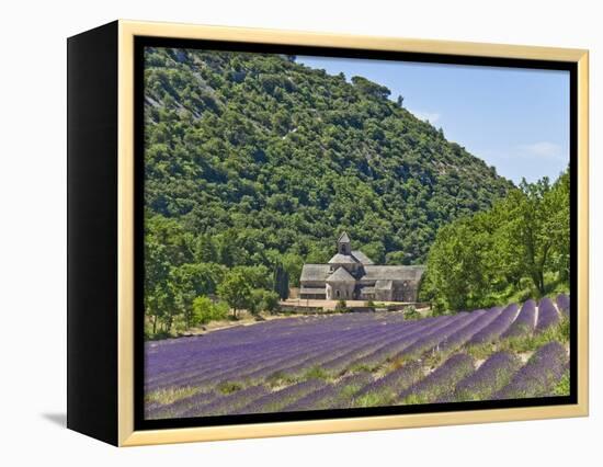 Lavender Fields and Senanque Monastery-David Sailors-Framed Premier Image Canvas