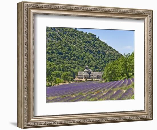 Lavender Fields and Senanque Monastery-David Sailors-Framed Photographic Print