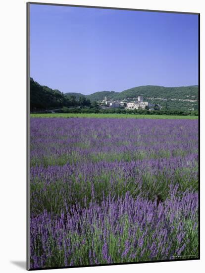 Lavender Fields and the Village of Montclus, Gard, Languedoc-Roussillon, France-Ruth Tomlinson-Mounted Photographic Print