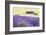 Lavender Fields, Cotswolds, Worcestershire, England, UK-Nadia Isakova-Framed Photographic Print