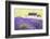 Lavender Fields, Cotswolds, Worcestershire, England, UK-Nadia Isakova-Framed Photographic Print