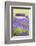 Lavender Fields, Cotswolds, Worcestershire, England, UK-Nadia Isakova-Framed Photographic Print