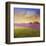 Lavender Fields I-Chris Vest-Framed Art Print