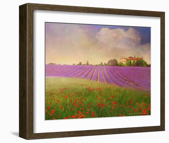 Lavender Fields II-Chris Vest-Framed Art Print