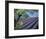 Lavender Fields in France-Owen Franken-Framed Photographic Print