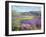 Lavender Fields in Old Provence-Timothy Easton-Framed Giclee Print