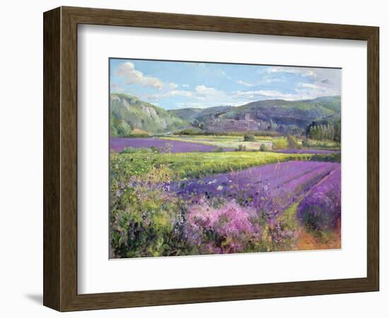 Lavender Fields in Old Provence-Timothy Easton-Framed Giclee Print