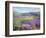 Lavender Fields in Old Provence-Timothy Easton-Framed Giclee Print