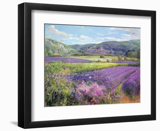 Lavender Fields in Old Provence-Timothy Easton-Framed Giclee Print