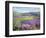 Lavender Fields in Old Provence-Timothy Easton-Framed Giclee Print