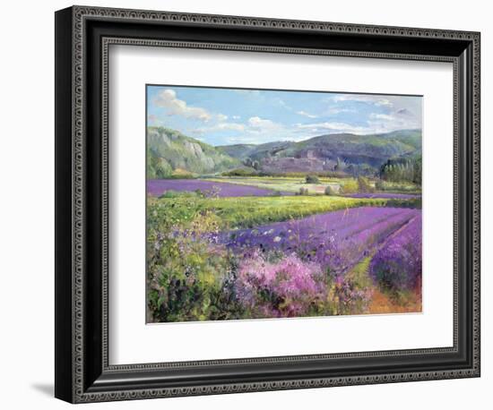 Lavender Fields in Old Provence-Timothy Easton-Framed Giclee Print