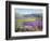 Lavender Fields in Old Provence-Timothy Easton-Framed Giclee Print