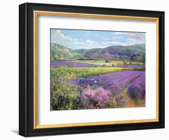 Lavender Fields in Old Provence-Timothy Easton-Framed Giclee Print