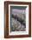 Lavender Fields, Provence, France, Europe-Angelo Cavalli-Framed Photographic Print