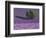 Lavender Fields, Sault, Provence, France-Art Wolfe-Framed Photographic Print