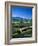 Lavender Fields, Sault, Provence, France-Steve Vidler-Framed Photographic Print