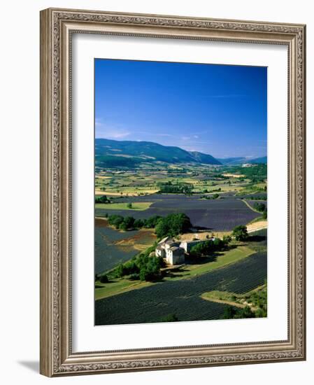 Lavender Fields, Sault, Provence, France-Steve Vidler-Framed Photographic Print