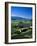 Lavender Fields, Sault, Provence, France-Steve Vidler-Framed Photographic Print