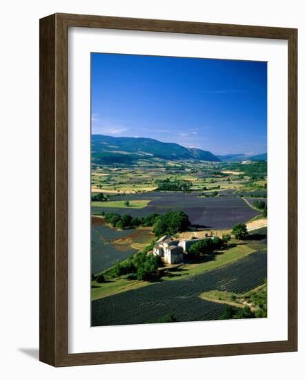 Lavender Fields, Sault, Provence, France-Steve Vidler-Framed Photographic Print