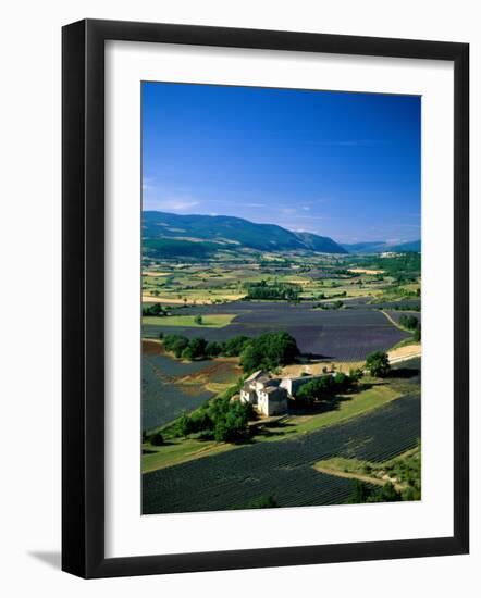 Lavender Fields, Sault, Provence, France-Steve Vidler-Framed Photographic Print