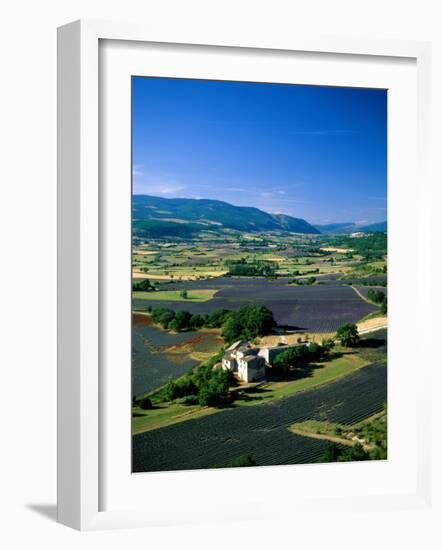 Lavender Fields, Sault, Provence, France-Steve Vidler-Framed Photographic Print