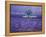 Lavender Fields, Vence, Provence, France-Gavriel Jecan-Framed Premier Image Canvas