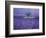 Lavender Fields, Vence, Provence, France-Gavriel Jecan-Framed Photographic Print