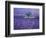 Lavender Fields, Vence, Provence, France-Gavriel Jecan-Framed Photographic Print