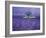 Lavender Fields, Vence, Provence, France-Gavriel Jecan-Framed Photographic Print