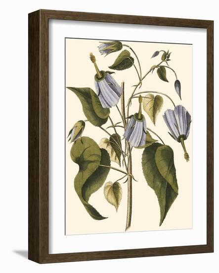 Lavender Floral I-Vision Studio-Framed Art Print