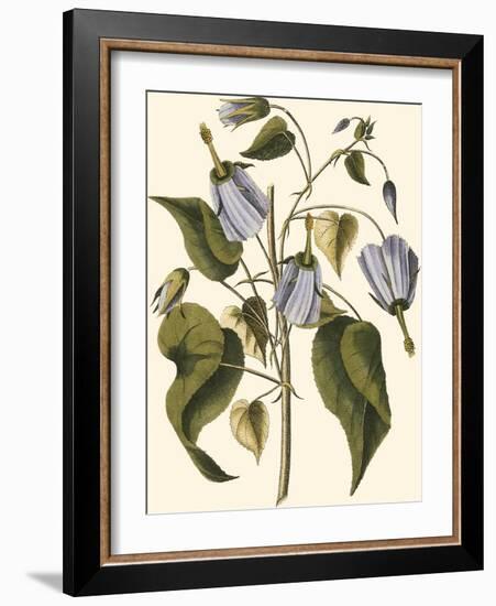 Lavender Floral I-Vision Studio-Framed Art Print