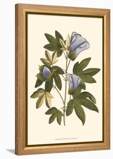 Lavender Floral II-Vision Studio-Framed Stretched Canvas