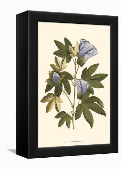 Lavender Floral II-Vision Studio-Framed Stretched Canvas